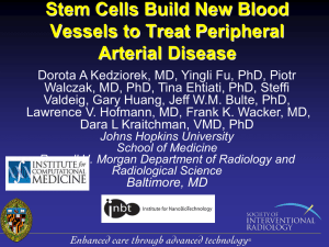 Stem Cells Build New Blood Vessels to Treat Peripheral Arterial