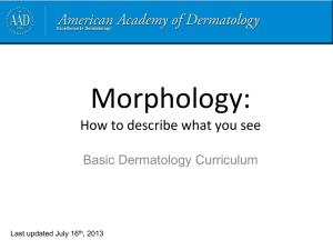 Morphology - American Academy of Dermatology