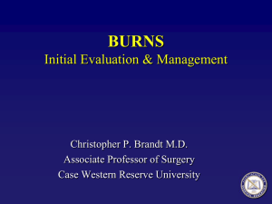 Burns Initial Evaluation and Management
