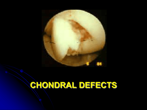 N° 2- Etiopathology of chondral defects