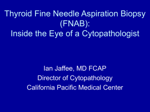 Thyroid Fine Needle Aspiration Biopsy (FNAB): Inside the Eye of a