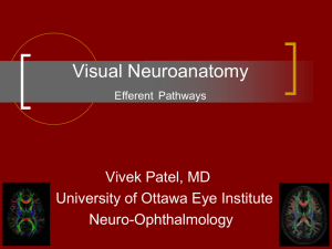 AHD - Neuro-opthalmology - V. Patel