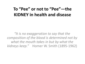 To “Pee” or not to “Pee”—the KIDNEY in health and