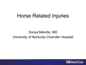 "Horse Related Injuries" by Sonya Melville M.D.