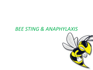 BEE STING & ANAPHYLAXIS Introduction
