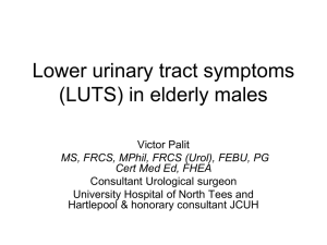 Lower urinary tract symptoms in elderly males
