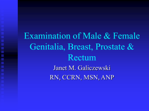 Examination of Male & Female Genitalia, Breast