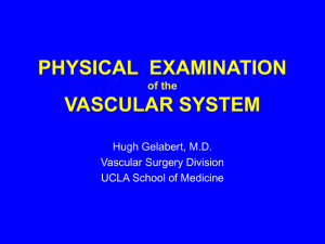 Principles of the Vascular Exam