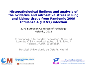 Histopathological findings and analysis of the oxidative and