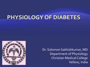 physiology-diabetes