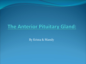 The Anterior Pituitary Gland