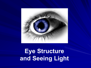 Eye Structure and Seeing Light Presentation