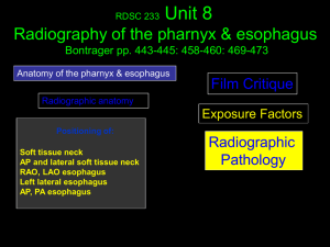 Esophagrams (Barium Swallow)
