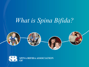 spina bifida association