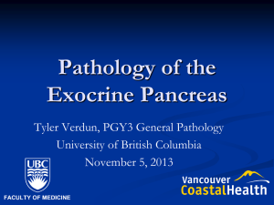 Normal Pancreas - UBC Histology - University of British Columbia