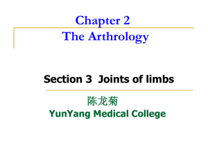 Joints of limbs