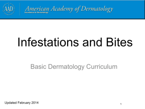 Infestations and bites - American Academy of Dermatology