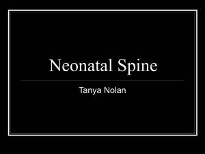 Neonatal Spine