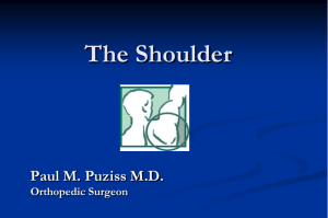 The Shoulder - Puziss Orthopedic Shoulder Clinic
