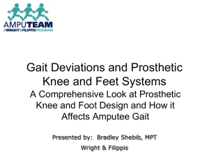 Gait Deviations and Prosthetic Knee and Feet Systems