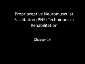 Proprioceptive neuromuscular facilitation (PNF) RHS 323