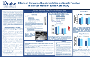 Effects of Glutamine Supplementation on Muscle