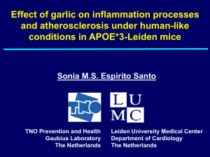 Effect of garlic on inflammation processes