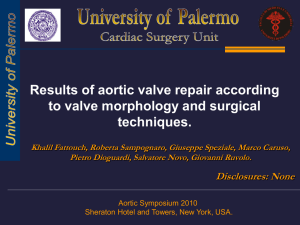Results of aortic valve repair according to valve morphology