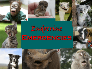 Endocrine Emergencies - Improving care in ED