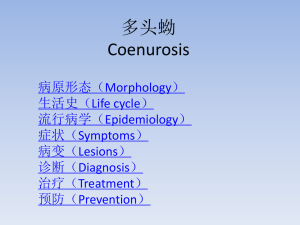 多头蚴Coenurosis