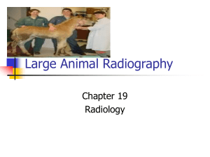 Ch. 19-Large Animal Radiography