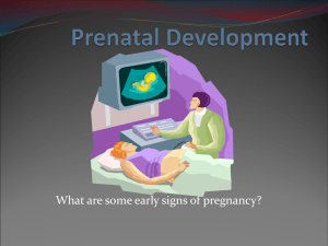 Conception and Birth PowerPoint Presentation