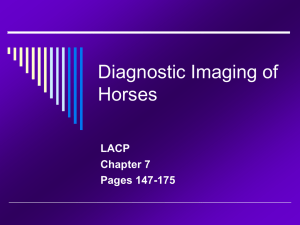 Diagnostic Imag5