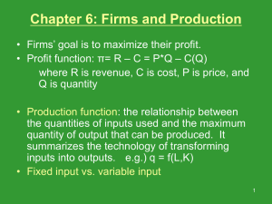 Review Chapter 6: Firms and Production