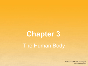 Chapter 3 Power Point Slides