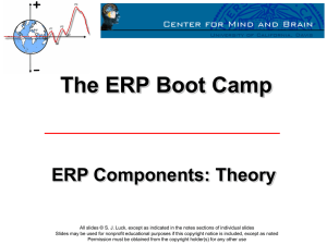 ERP Boot Camp Lecture #5