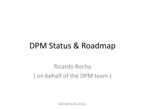 The DPM RoadMap
