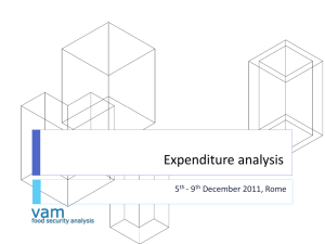 Expenditures analysis (2011)