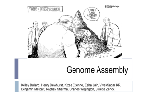 Genome Assembly- Background and Strategy