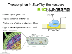 mRNA production in E.coli