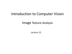 Lecture 12 Texture