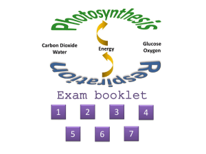 Respiration & Photosynthesis exam booklet