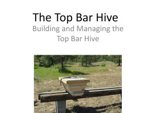 The Top Bar Hive by Jack Miller