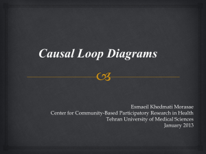Causal Loop Diagrams