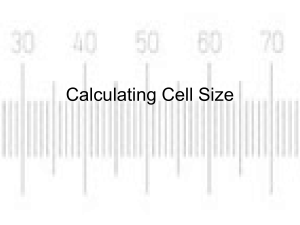 Calculating Cell Size