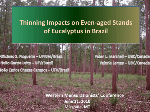 Experiment thinning in Eucalyptus in Brazil