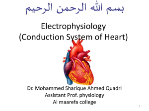 electrophysiology of heart