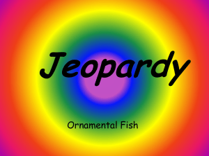Fish Jeopardy Review