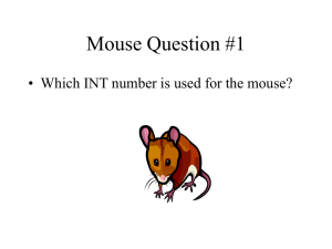 Questions About Mouse