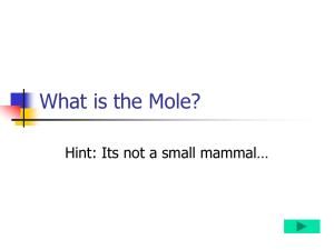 What is the Mole?